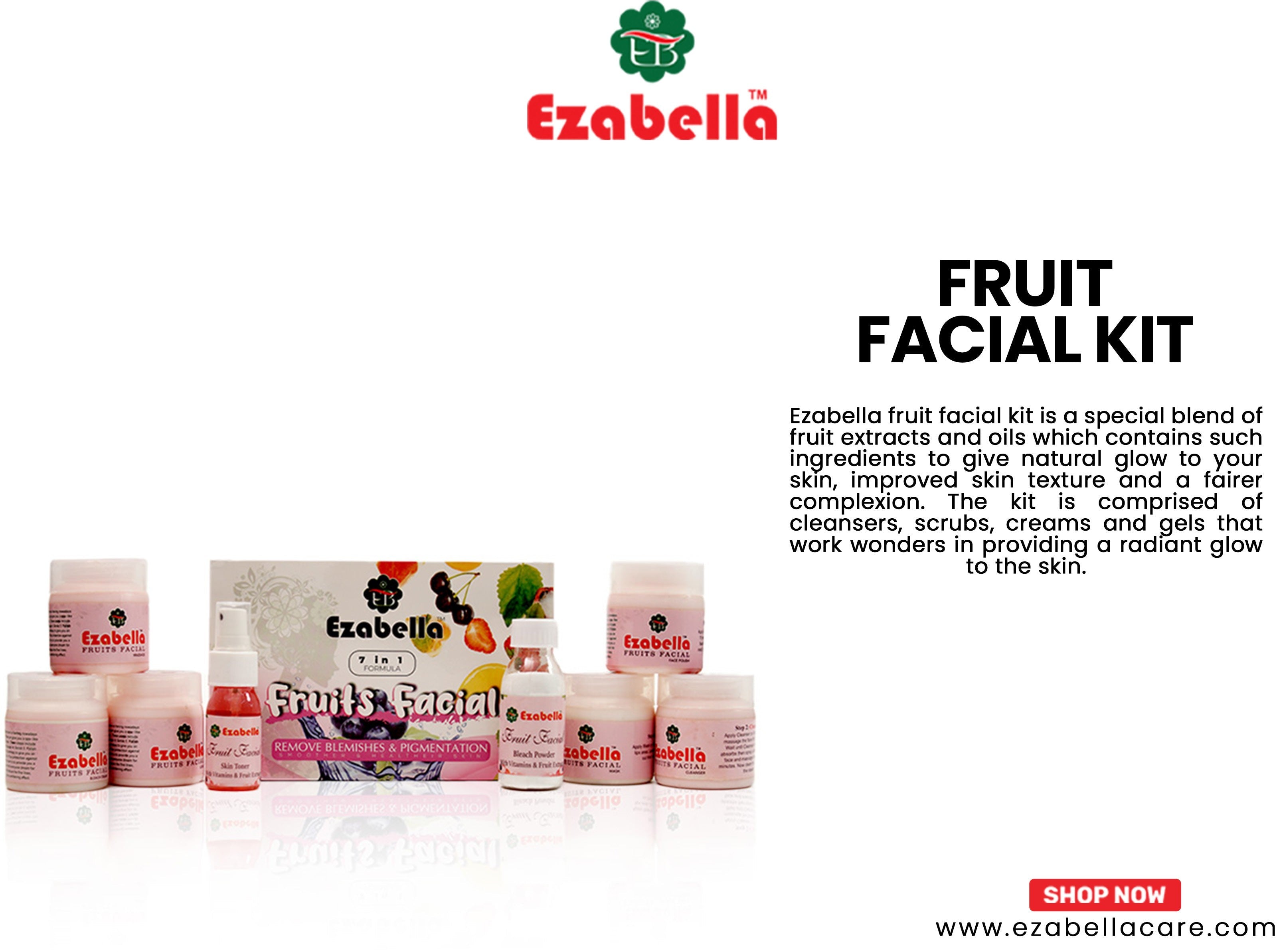 Fruits Facial Kit