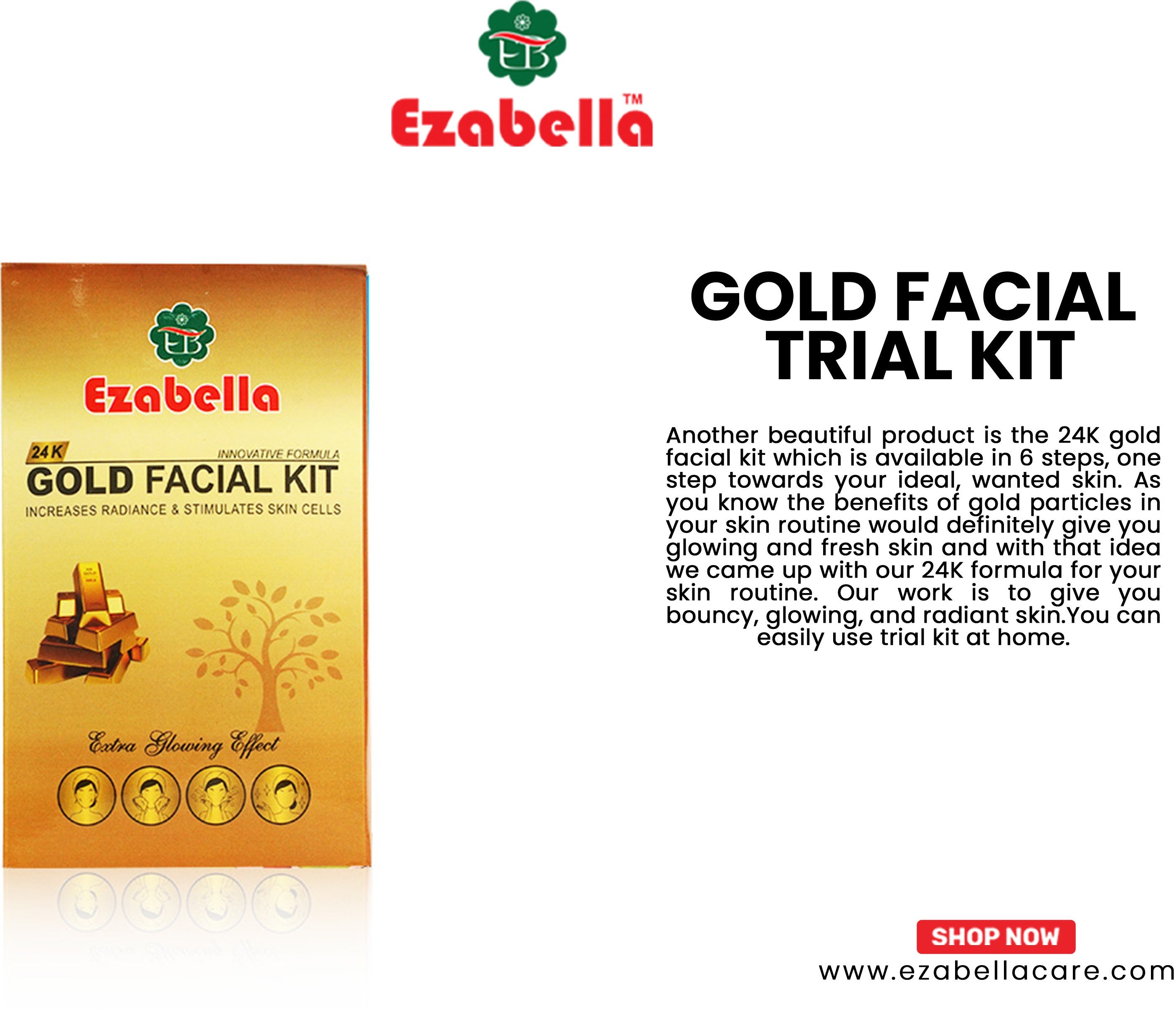 Gold Facial Trial Kit
